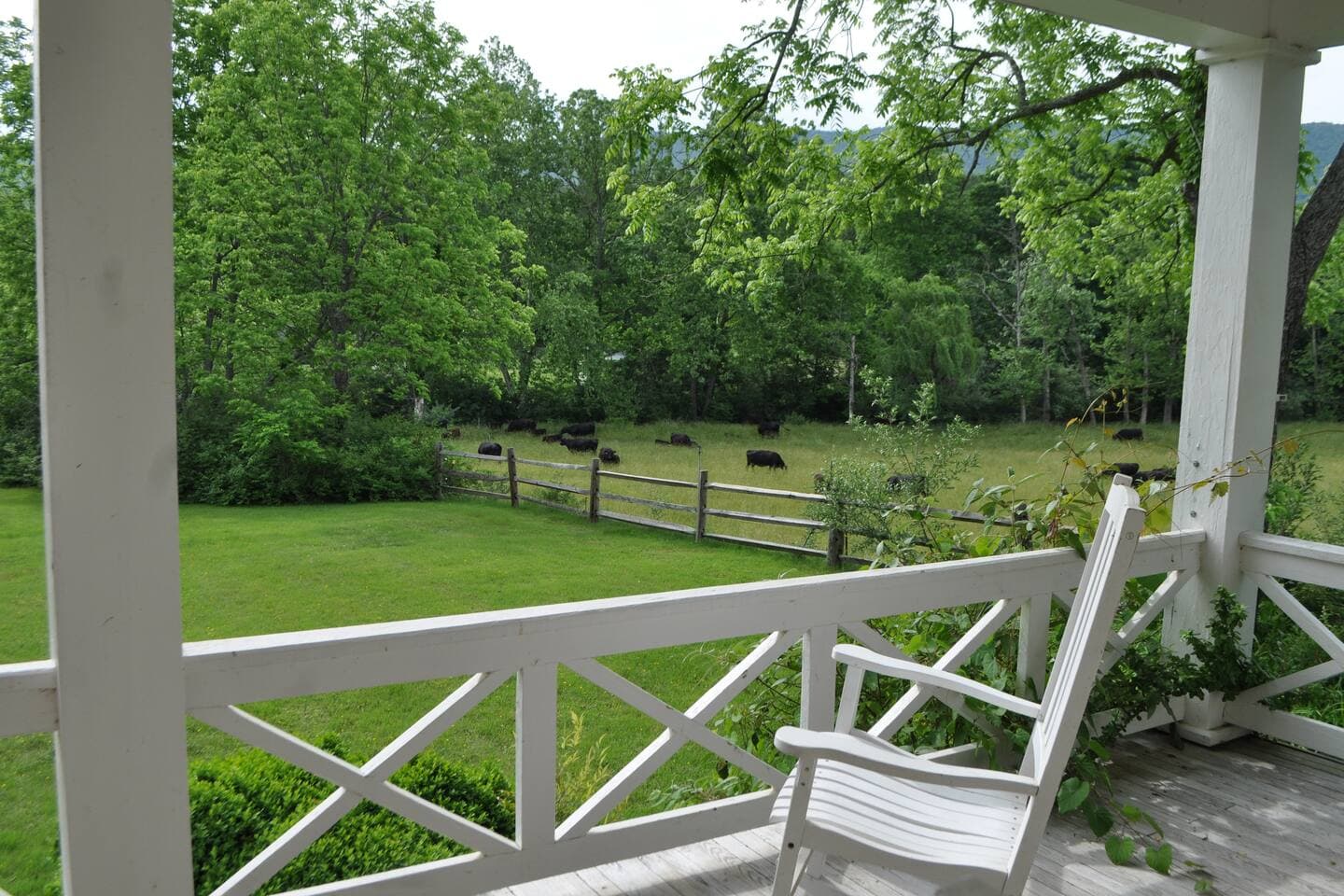 Relax on the front porch rocking chairs and watch the cows!